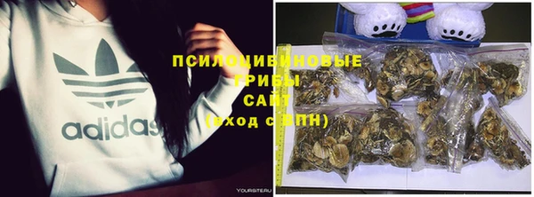 мет Аркадак